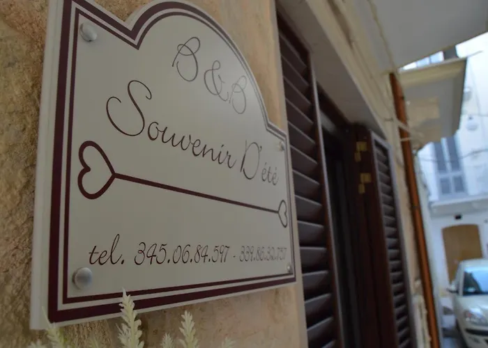 Souvenir D'ete Bed & Breakfast 3*